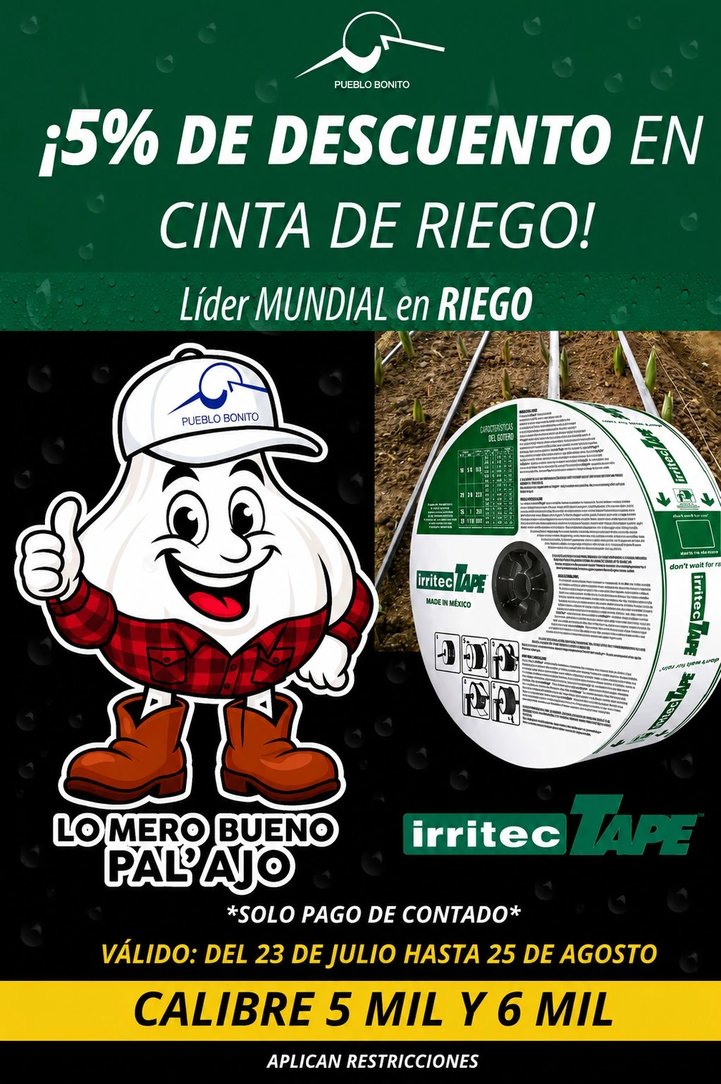 Promocion de maiz
